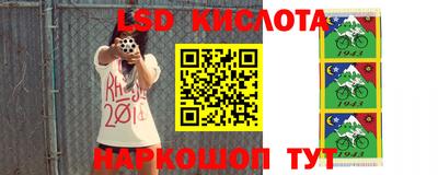 гашик Тверь