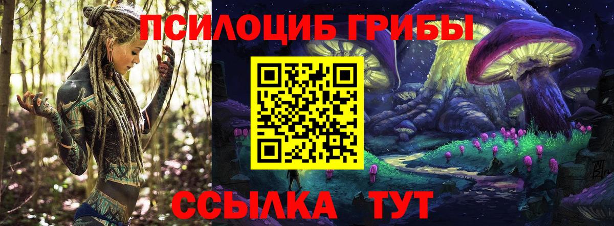 Галлюциногенные грибы Cubensis  Вход с VPN  где продают   Арзамас 